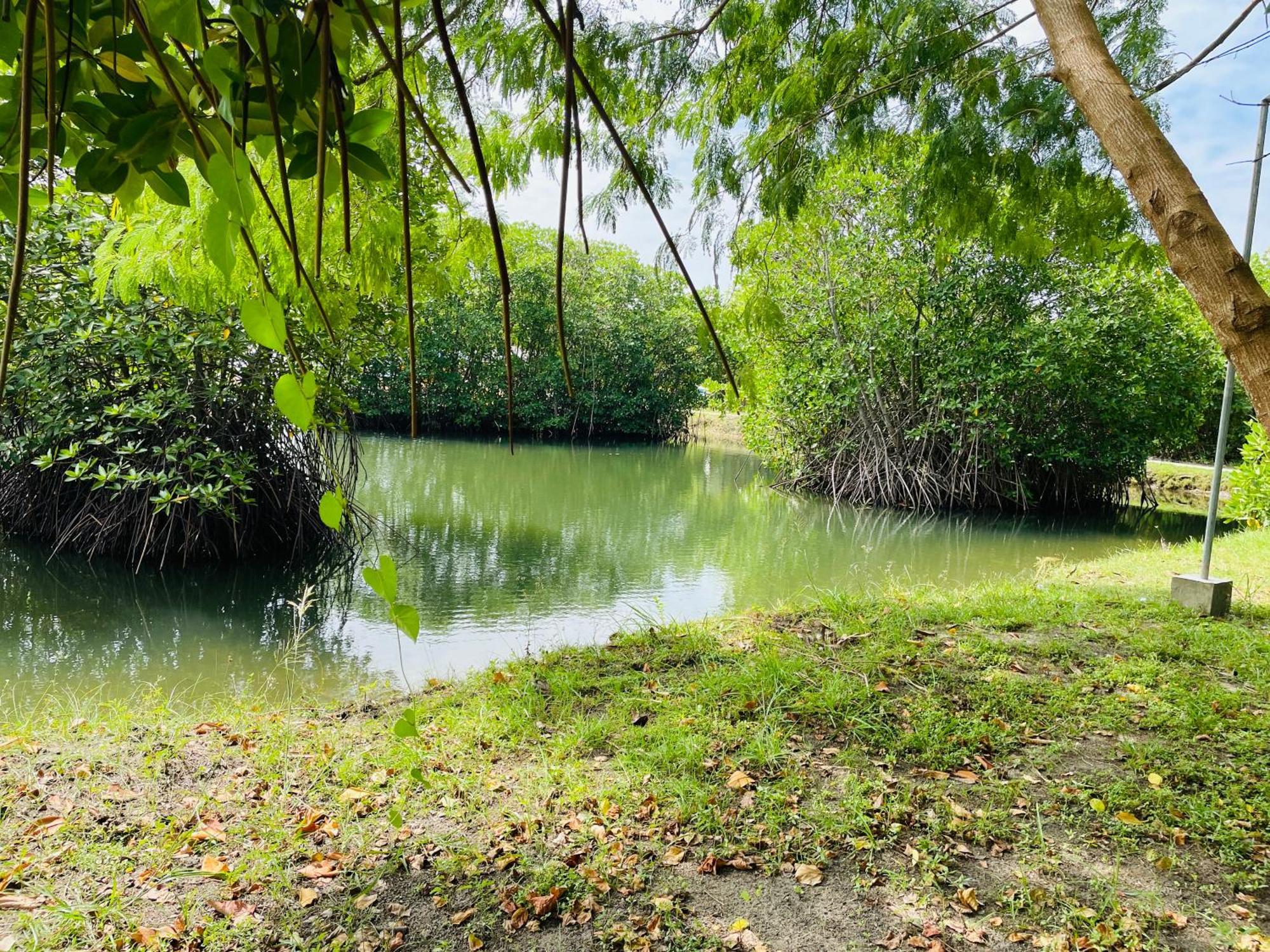King'S Island Resort Negombo Buitenkant foto