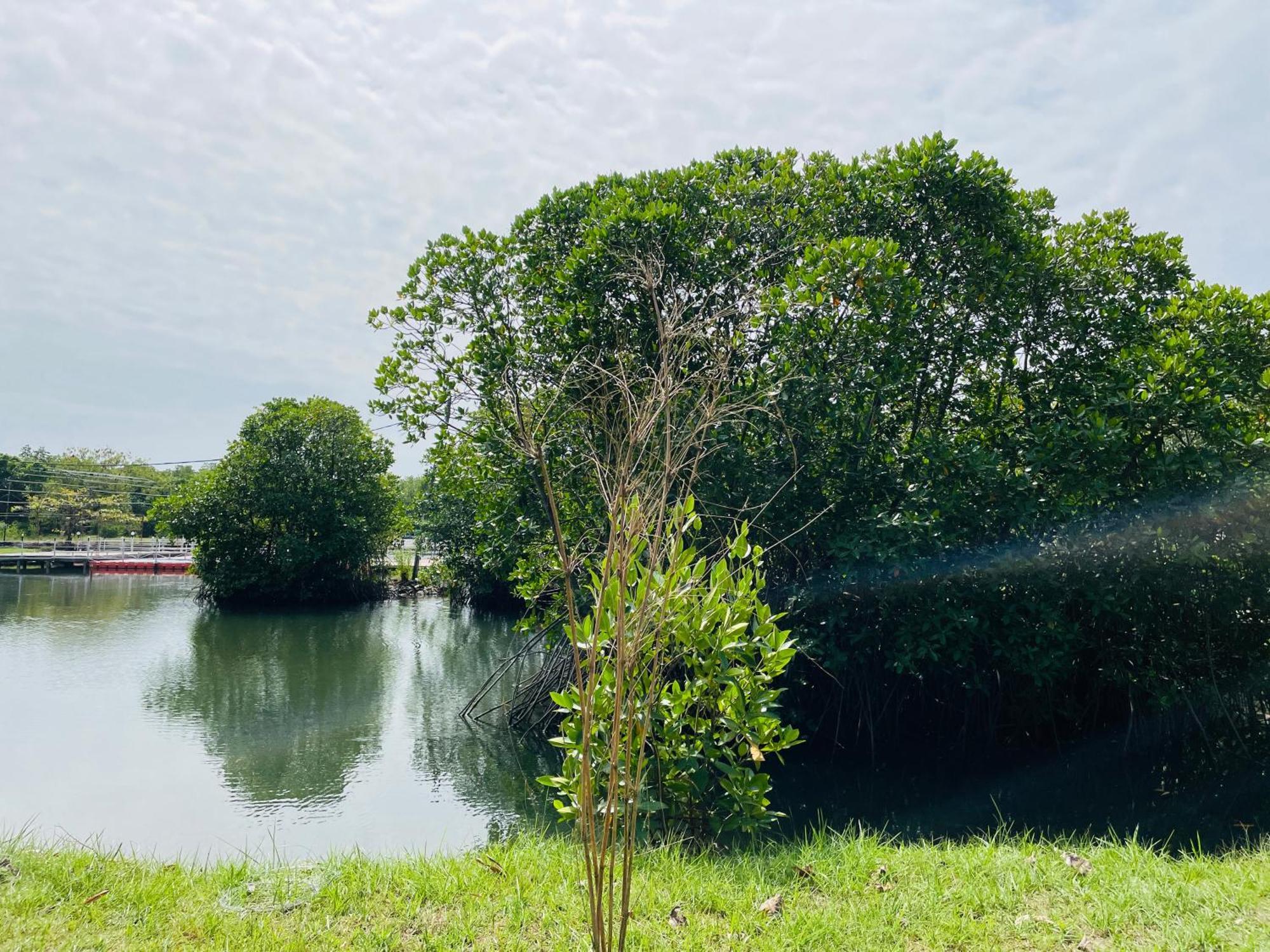 King'S Island Resort Negombo Buitenkant foto